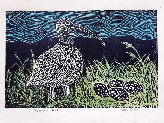 A Curlew's Nest Lino Print and Watercolour Original Signed Coloured