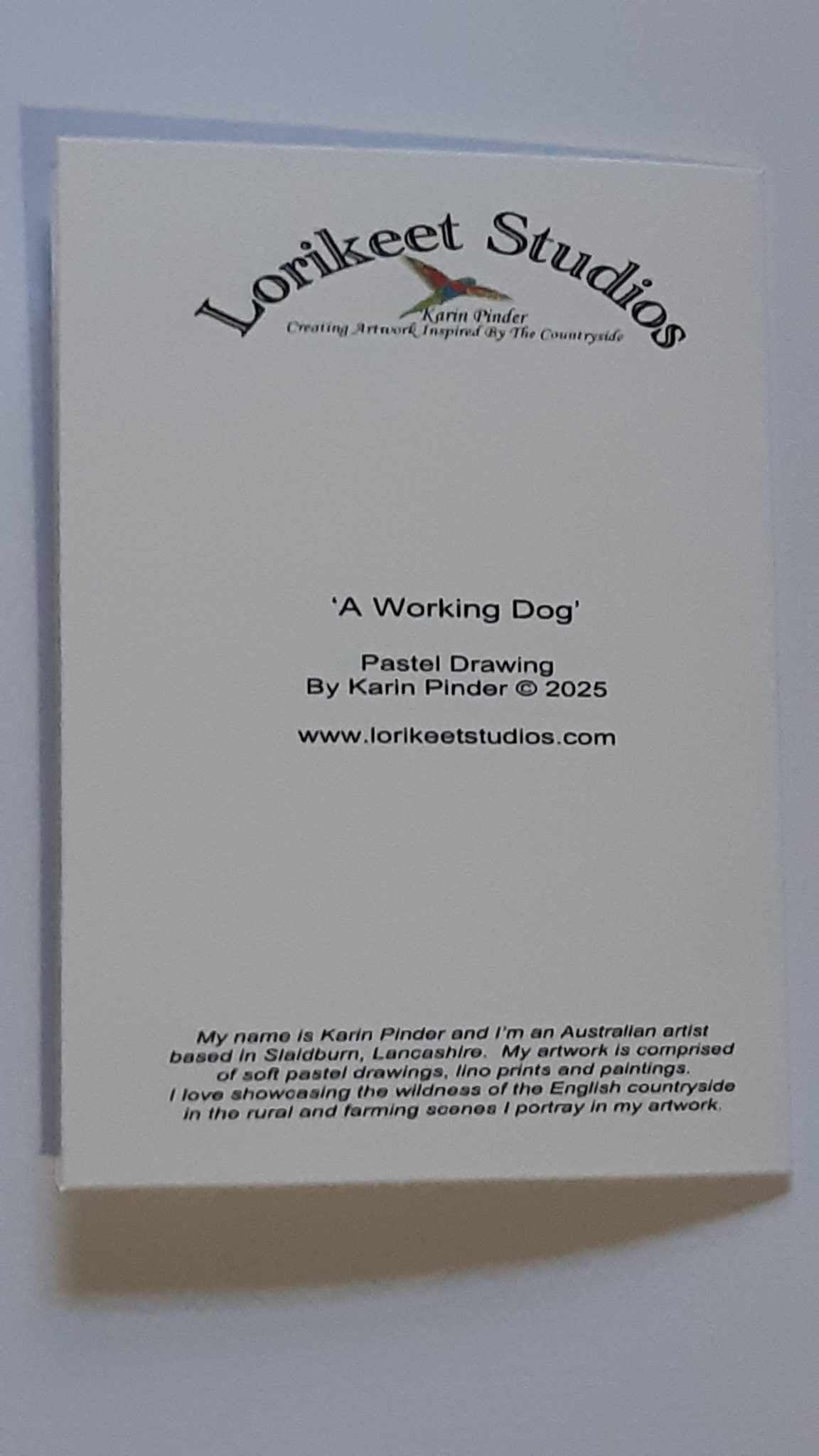 A Working Dog Border Collie 5 x 7 Inch Greeting Card