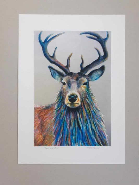 Contemplating Wild Stag Wall Art Print