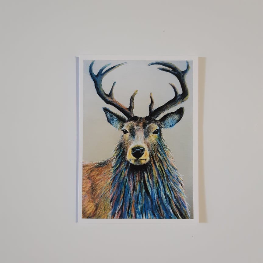 Contemplating Stag 5 x 7 Inch Greeting Card