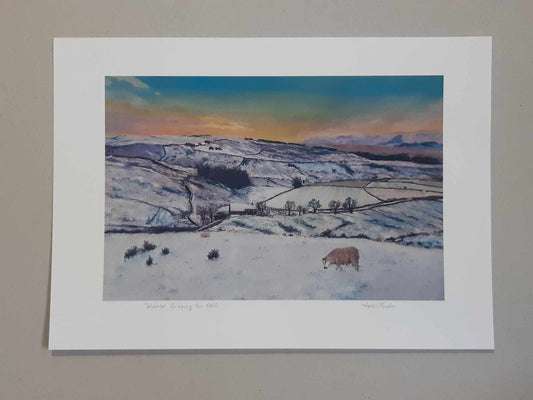 Winter Grazing On Fell Wall Art Print 2 Sizes